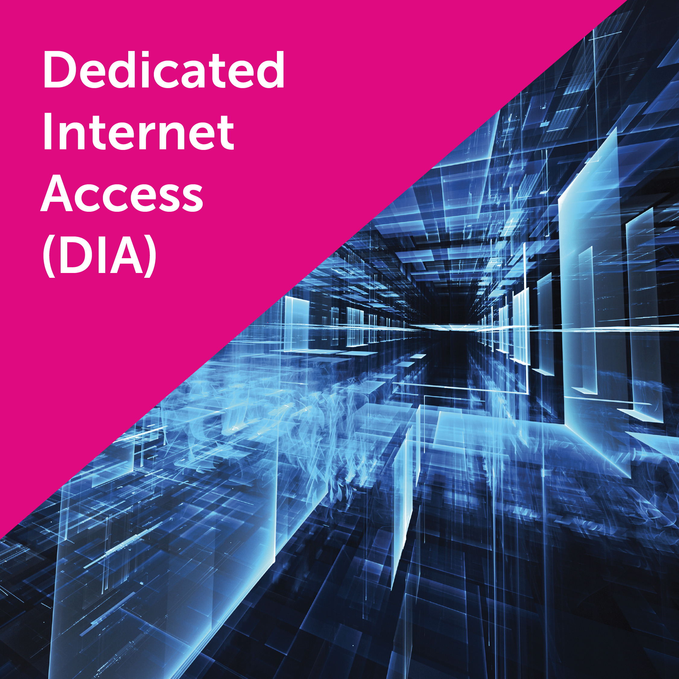 DIA_Square-Banner