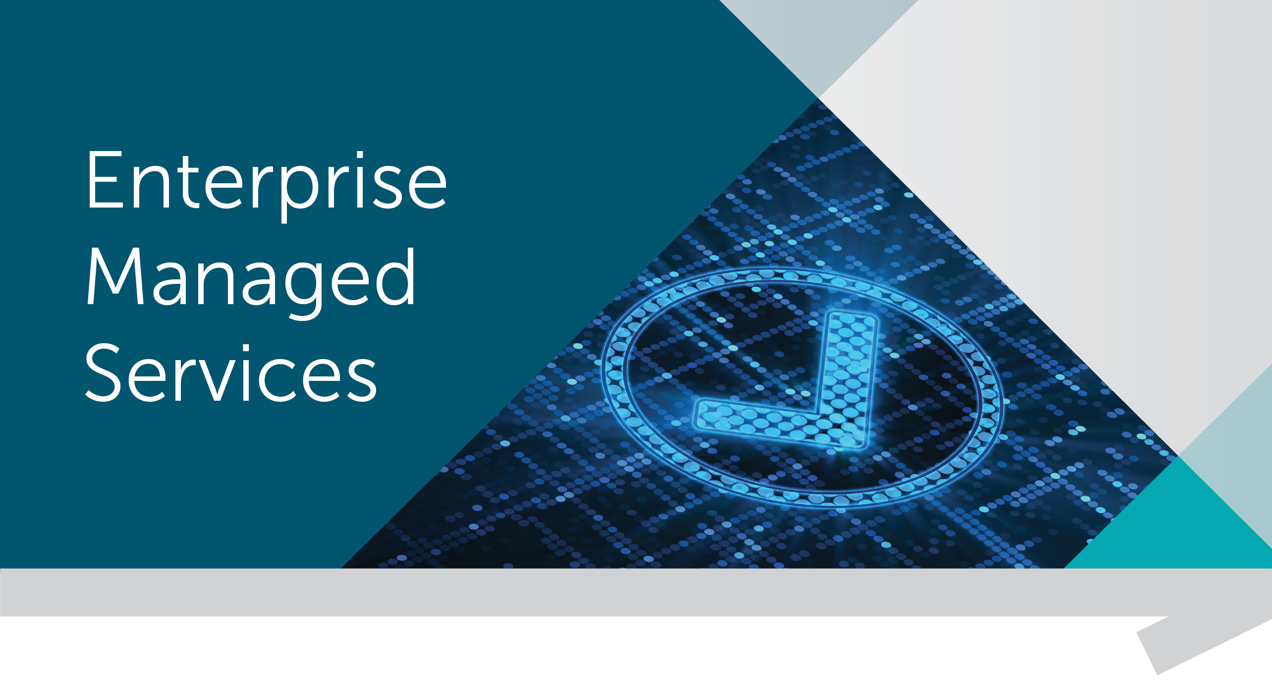 Enterprise_Enterprise-Managed-Services_4